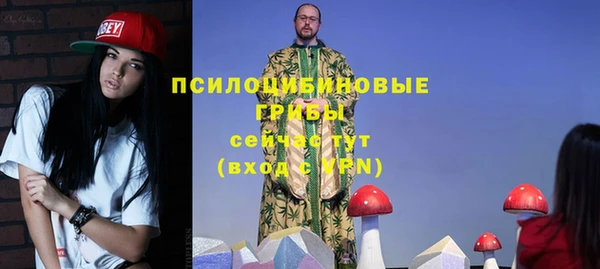 молекула духа Нефтекумск