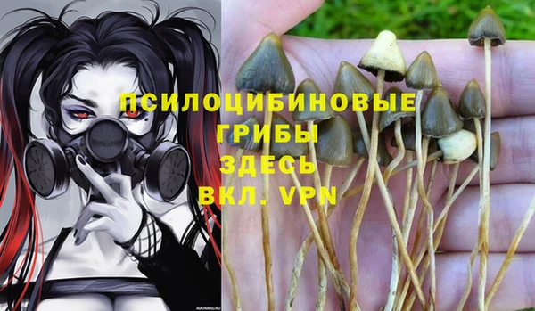 круглые Нефтегорск
