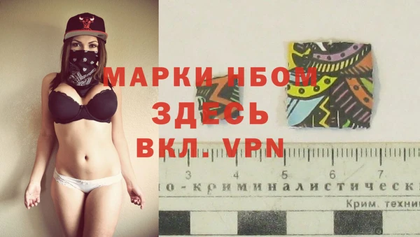 молекула духа Нефтекумск