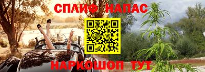 мдпв Гагарин