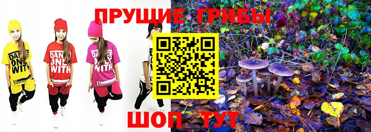 Серов  Псилоцибиновые грибы Psilocybe  хочу наркоту  Вход с VPN 